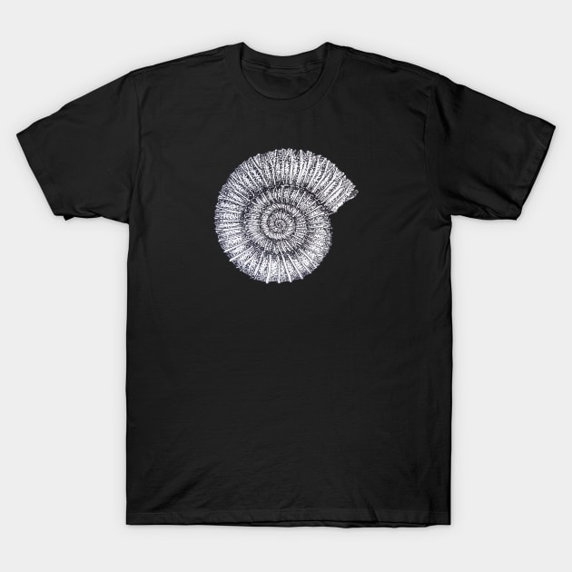 Ammonite T-Shirt by KKpalaeoartist